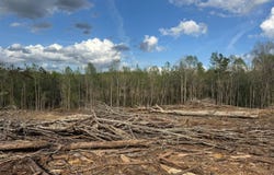 Interstate 55, Winona, MS 38967