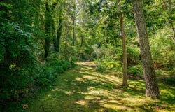 9 Laurel Drive, Harwich Port, MA 02646