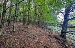 L 24.12 N Nassau Road, Sand Lake, NY 12018