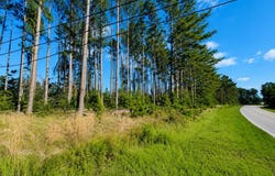 Sunbeam Rd., Douglas, GA 31535