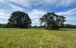 00 CR 15580, Paris, TX 75462