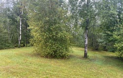 159 Dyke Road, North Bangor, NY 12966