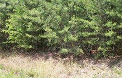 Floyd Road, Eden, NC 27288