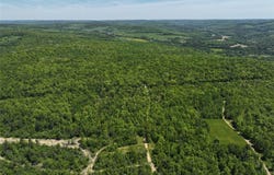 River Road, Belmont, NY 14813