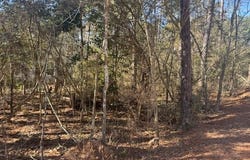 Montgomery, TX 77356
