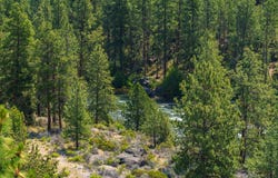 19717 SW Mt Bachelor Drive, Bend, OR 97702