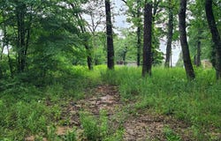 162 Indian Gap, Mabank, TX 75156
