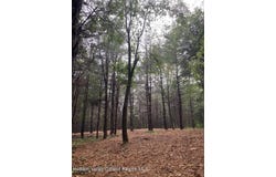 Lot 6 County Rte 51, Coxsackie, NY 12051