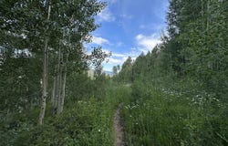 162 Double Diamond Drive, Durango, CO 81301