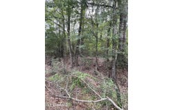 00 Dunn Road, Terry, MS 39170