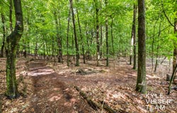 1873 Grand River Drive NE, Ada, MI 49301