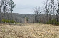 Dodd Mountain Road, Clinton, AR 72031