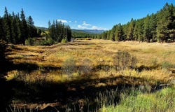 1 The Ranch at Angel Fire, Angel Fire, NM 87710