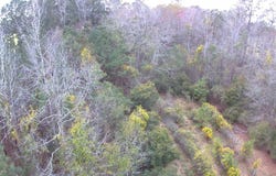 0 Tomahawk Street, Hemingway, SC 29554