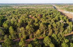 0 Hopewell Church Road, Pine Mountain, GA 31822