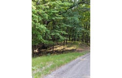11717 Broken Arrow, Canadian Lakes, MI 49346