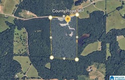 0 COUNTY ROAD 46, MONTEVALLO, AL 35115
