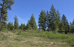3715 HILL LOOP RD, KETTLE FALLS, WA 99141