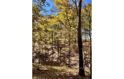 63 Yellow Bass  RD, Smithville, OK 74957