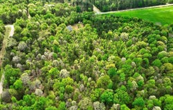 Lot 18 Shady Farms Road, Monticello, GA 31064