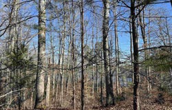 Excalibur Trail (Lot 237), Cedar Grove, TN 38321