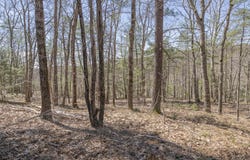 Ridge Road lot: 2, Bath, ME 04530
