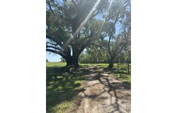3282 NW US 221 Highway, Greenville, FL 32331
