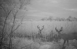 00000 W 237th St, Osage City, KS 66523