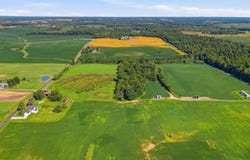 5517 Twp Rd 117, Mount Gilead, OH 43338