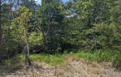 0 Compton ST, Rocky Mount, VA 24151
