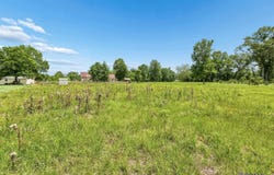 Miller Rd, Prairieville, LA 70769