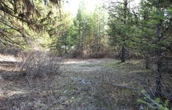 70 EXCELSIOR WAY, CURLEW, WA 99118