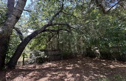6168 Hayes Drive, Crestview, FL 32539