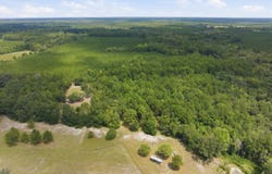 202 Alford Place, Walterboro, SC 29488