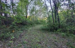 217 Coal Chute Road, Elizabethton, TN 37643