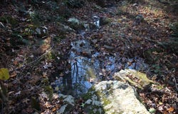 000-13222-000 Dabney Road, Jerusalem, AR 72080