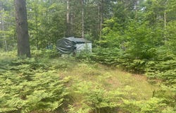 16928 Wildlife Trail, Wolverine, MI 49799