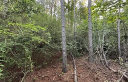 N Lot 1 River Road, Summit, MS 39666