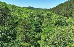 TBD (Lot 1) Heather Lane, Mena, AR 71953