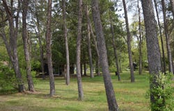 704 10th Street, Mio, MI 48647