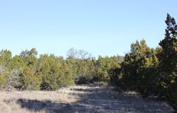PID 23205 Junction Hills, Junction, TX 76849