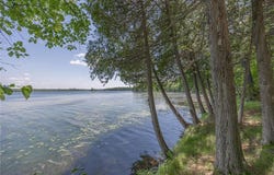 126 Marsh Hawk Lane NE, Hackensack, MN 56452