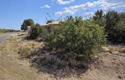 20654 E Bear Canyon Road, Mayer, AZ 86333