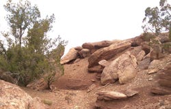 CR 212-11-013A, Concho, AZ 85924