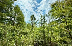 Winn School Road, Hosston, LA 71043