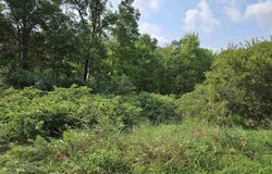 Chicago Avenue, Coloma, WI 54930