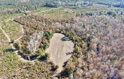 Altman Road, Hampton, SC 29924