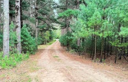 1004 Gem Court, Wisconsin Dells, WI 53965