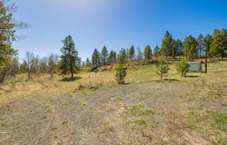 Morell Road, McCall, ID 83638