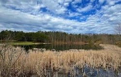 Lot 16 WEST PARKER, AUGUSTA, WV 26704